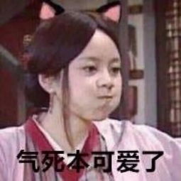 武林外传头像沙雕姐妹表