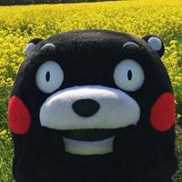  熊本熊微信头像超清微信头像图片大全