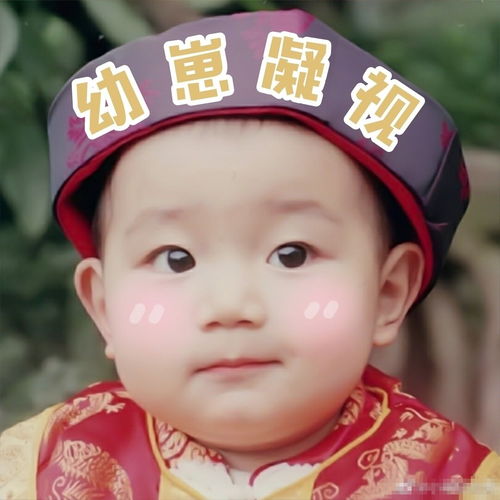  法证先锋4播了主演都好老啊