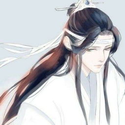  魔道祖师请签收你们的老公