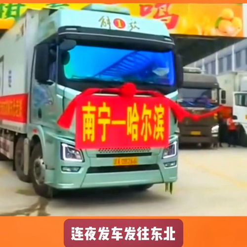  小砂糖橘已经到吉林,走到哪红到哪,估计春节前是回不去了