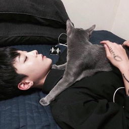 孤独黑暗的猫头像男生