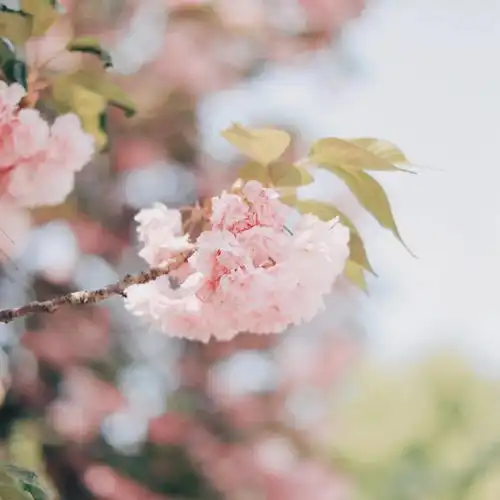  ins风冷淡治愈系朋友圈背景图