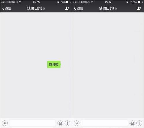  微信透明头像昵称透明消息,亲妈都不认识了