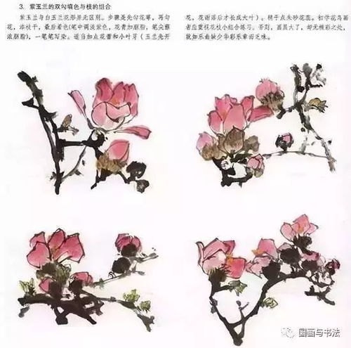  国画玉兰的写意画法,一学就会