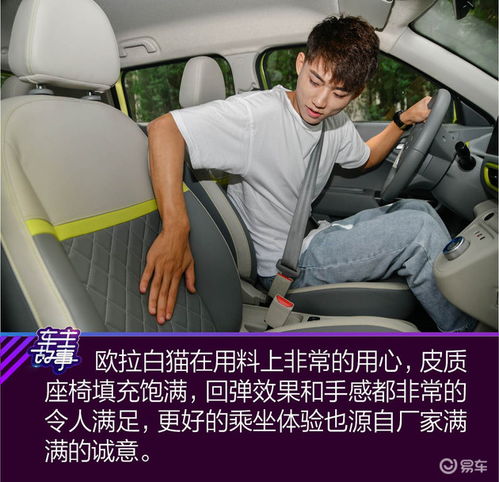  猫系青年的欧拉白猫深度吸猫指南