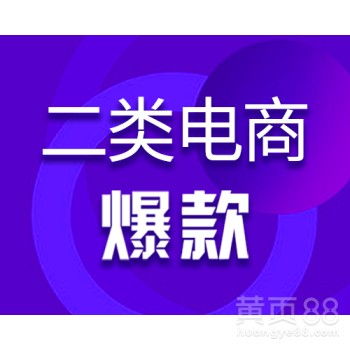  二类电商你须知的抖音信息流及投放-黄页88网