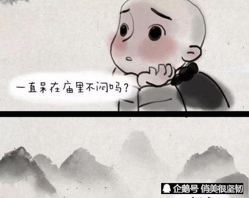  一禅小和尚,换个角度看世界.一禅在水中看到猪猪和兔兔