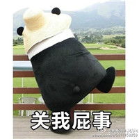  熊本熊带字关我屁事表情包七夕关我什么事