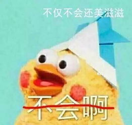 你的良心不会痛吗头像鹦