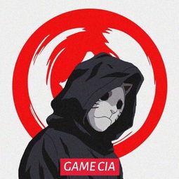  找图戴面具的兜帽男