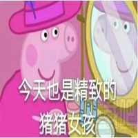  精致的猪猪女孩表情包微信头像图片大全