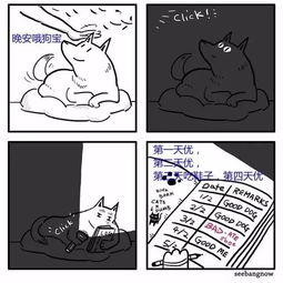  猫狗人死神这个漫画家有点萌