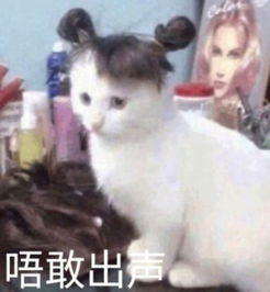 e句话看天下丨周润发和余安安闪婚闪离原因曝光,男人果然早婚就会出问题