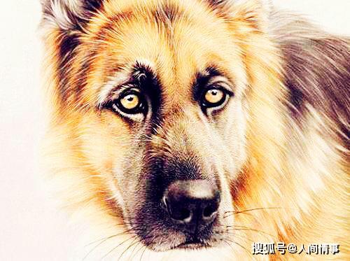  2020年步步高升,3生肖财源滚滚,全家发财要暴富,看看有你吗