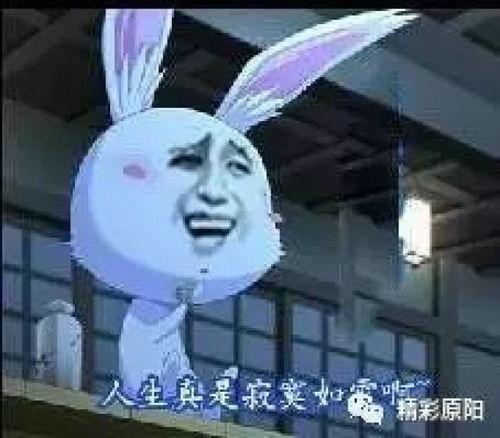  笑到杜子腾的奇葩名字黄蒲军校王者荣耀算什么有图有真相,这些名字更奇葩