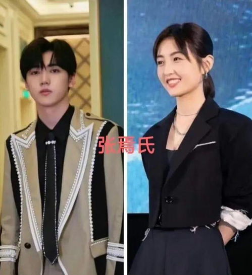  何超莲窦骁坐私人飞机看张学友演唱会,夫妻婚后合体画面好甜