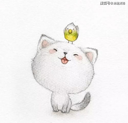  朋友圈让人笑喷的段子