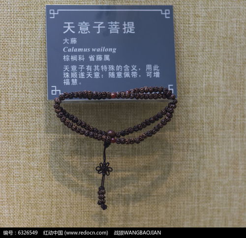  天意子菩提高清图片下载红动网