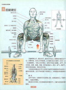 御姐头像背影黑色御姐图