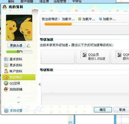  2011版的qq点击查看qq资料的时候看不到升级天数