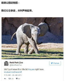  新闻也搞笑8那些活在我硬盘中的逗比国家