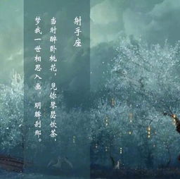  超美的十二星座古风句子