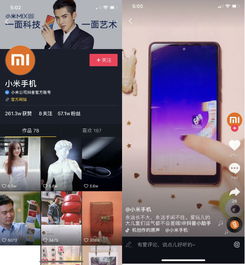 广告公司抖音头像企业号