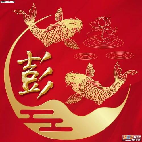  锦鲤姓氏头像大全高清好运锦鲤姓氏头像下载乐游网游戏下载