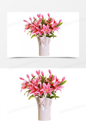 百合花图像微信头像大全