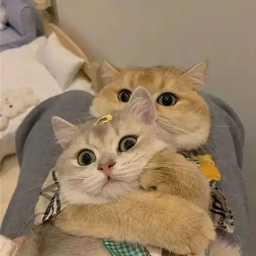  混搭多风格情侣头像集