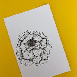  50张花卉线稿素材图片喜欢白描和黑白插画的建议收藏