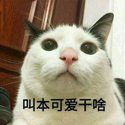  以前不算人生惨淡但一直较为独立自主却突然遇到一个把自己当孩子宠的无微不至的人是一直怎样的体验