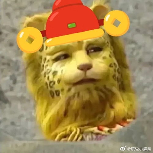  笑死,谁信啊