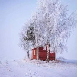 雪景头像高清瑞士