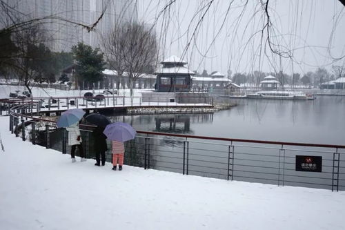  获奖公布保利中央公园醉美雪景摄影大赛完美收官