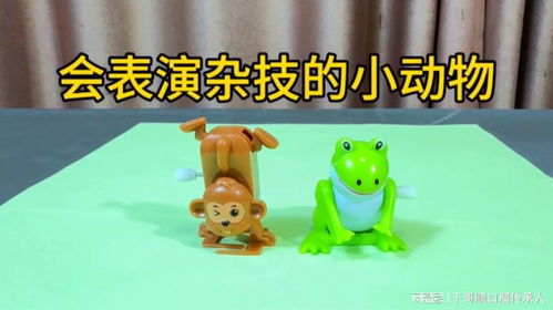  据说这两个神奇的小动物会表演杂技,帅小伙实测