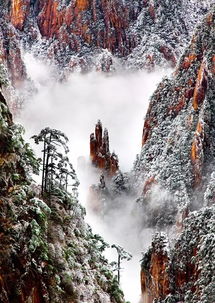 雪景头像高清黄山迎客松