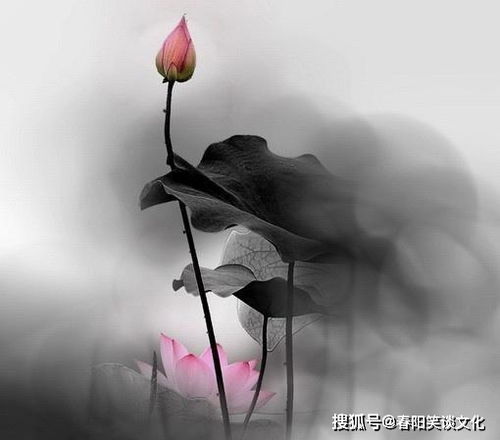  深奥难懂的精妙禅语,静下心来好好看看