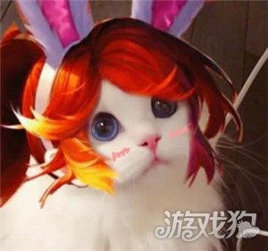  王者荣耀猫咪头像原图男女英雄猫咪头像无水印
