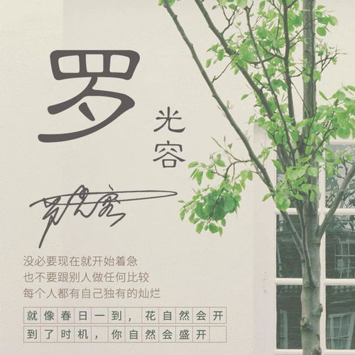  微信头像,姓氏头像,36张最新高端商务签名头像,闪耀你的朋友圈