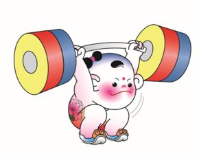  第十三届全运会