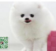  黄页88高清图片