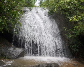  厉害了,我们的三月三梧州石表山景区约你一起耍