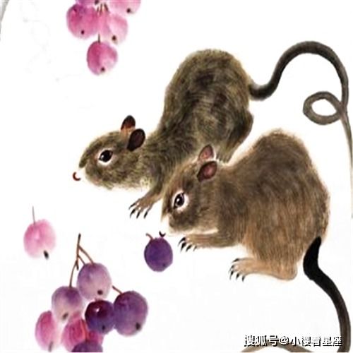  2021年4月,四大生肖事业贵人相助,运势提高,薪水增加,喜迎富贵