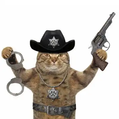  2023最新霸气猫咪微信头像