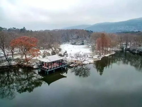  南京美到窒息的雪景都在这里,还有奇葩雪人对对碰