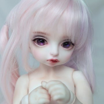  全站相册标签bjd