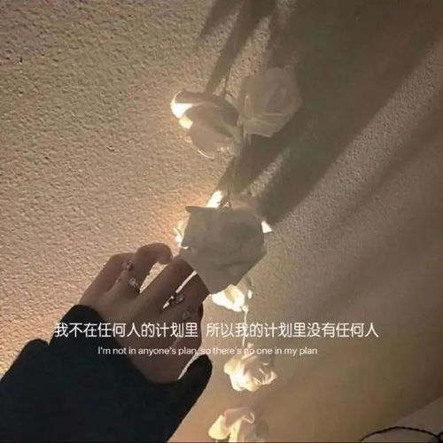 浅酌暖心文案我们都应该真诚一点,别违背本意,别辜负相遇