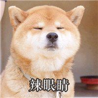  柴犬情侣头像秋千微信头像图片大全